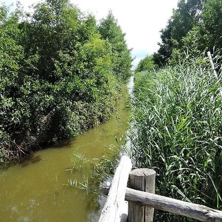 Countryside Escape By Koprowo Lägenhet