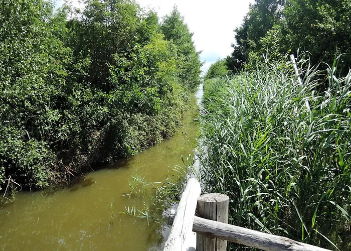 Countryside Escape By Koprowo Apartamento